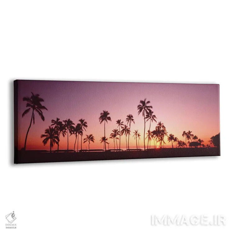 تابلو دکوراتیو درختان نخل در غروب خورشید، جزیره اوآهو، هاوایی، ایالات… اثر پانورامیک ایمجز - نمای پرسپکتیو محصول