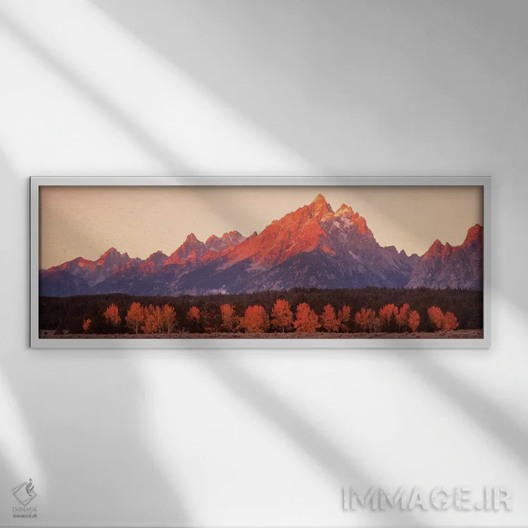 تابلو دکوراتیو درختان اسپن، رشته کوه تیوتن، پارک ملی گرند تیوتن، وایوم… اثر پانورامیک ایمجز - نمای قابدار سفید