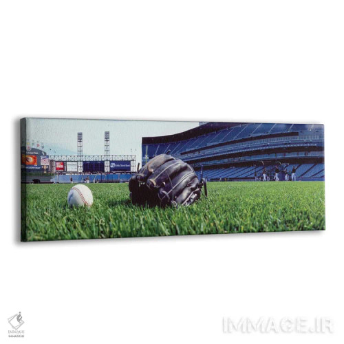 تابلو دکوراتیو US Cellular Field, White Sox Vs Indians, Chicago, Illin… اثر پانورامیک ایمجز - نمای پرسپکتیو محصول