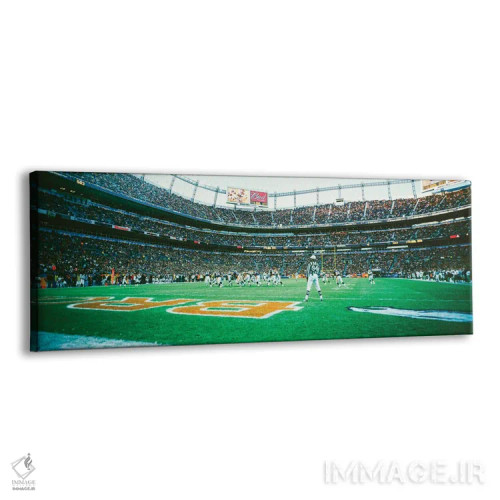 تابلو دکوراتیو Broncos Vs Browns, Invesco Field, Denver, Colorado, Dec… اثر پانورامیک ایمجز - نمای پرسپکتیو محصول
