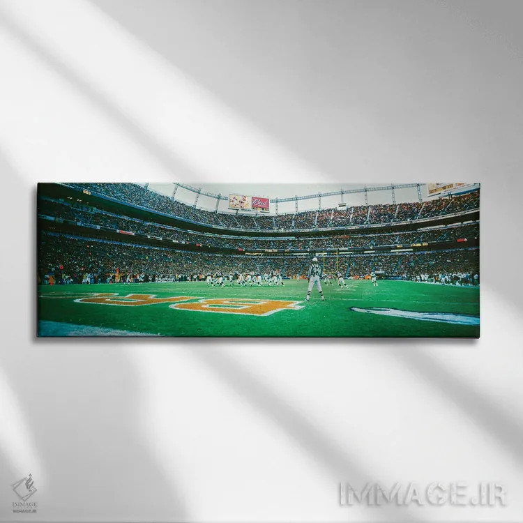 تابلو دکوراتیو Broncos Vs Browns, Invesco Field, Denver, Colorado, Dec… اثر پانورامیک ایمجز - نمای روبهرو روی دیوار