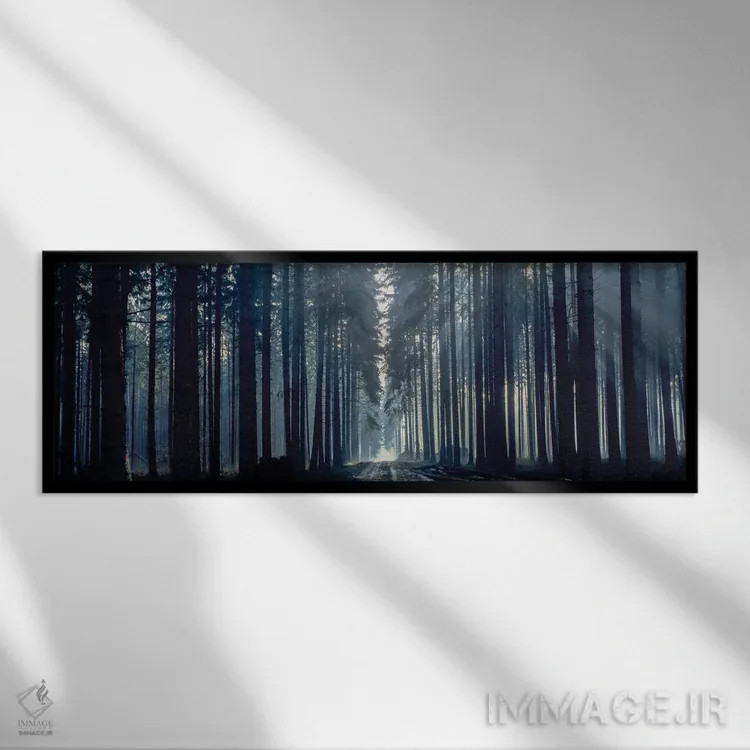 تابلو دکوراتیو Titisee, Germany, Europe" - "نور مه آلود از میان درختان… اثر پانورامیک ایمجز - نمای قابدار مشکی