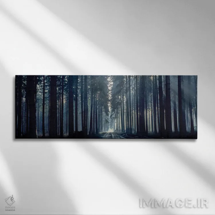 تابلو دکوراتیو Titisee, Germany, Europe" - "نور مه آلود از میان درختان… اثر پانورامیک ایمجز - نمای روبهرو روی دیوار