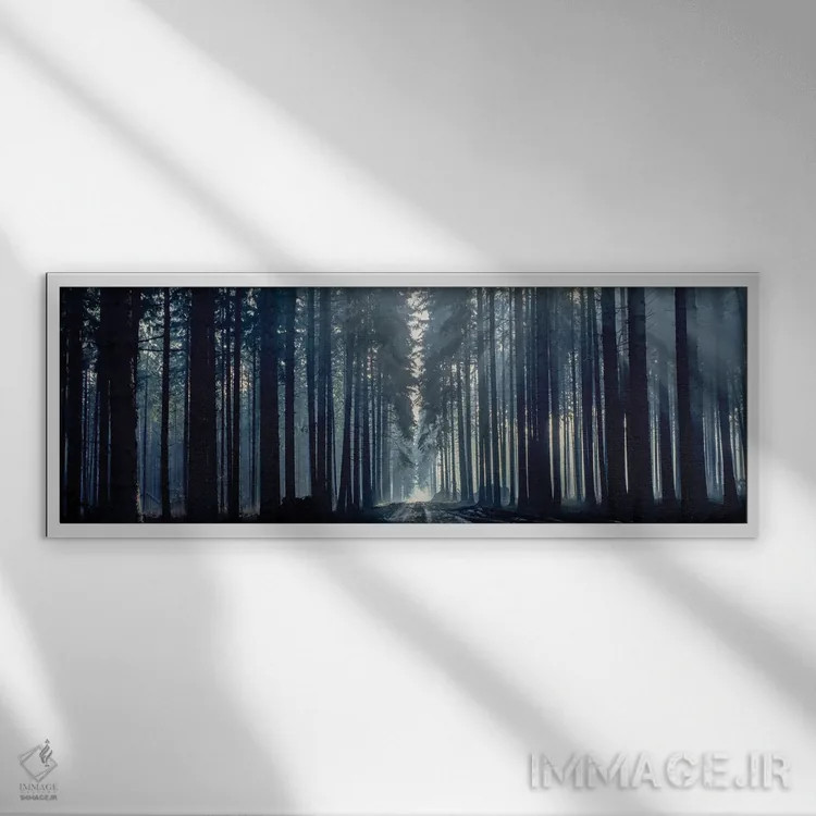 تابلو دکوراتیو Titisee, Germany, Europe" - "نور مه آلود از میان درختان… اثر پانورامیک ایمجز - نمای قابدار سفید
