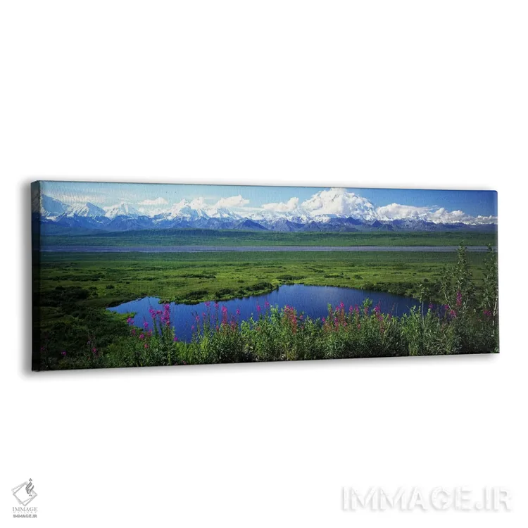 تابلو دکوراتیو Denali National Park, Alaska, USA,منظره بهاری، پارک ملی… اثر پانورامیک ایمجز - نمای پرسپکتیو محصول