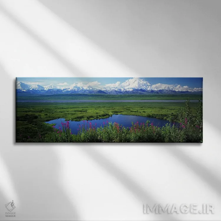 تابلو دکوراتیو Denali National Park, Alaska, USA,منظره بهاری، پارک ملی… اثر پانورامیک ایمجز - نمای روبهرو روی دیوار