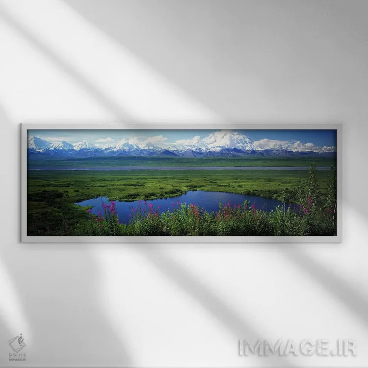 تابلو دکوراتیو Denali National Park, Alaska, USA,منظره بهاری، پارک ملی… اثر پانورامیک ایمجز - نمای قابدار سفید