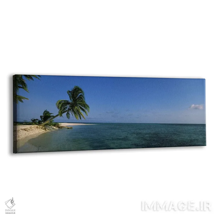 تابلو دکوراتیو Laughing Bird Caye, Stann Creek District, Belize,یک درخ… اثر پانورامیک ایمجز - نمای پرسپکتیو محصول