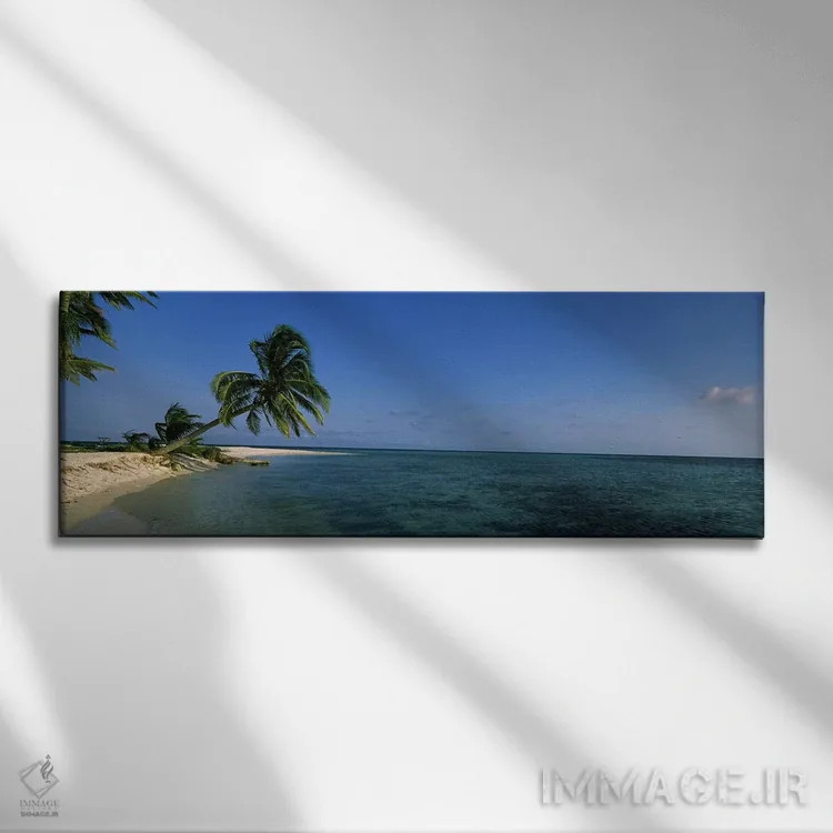 تابلو دکوراتیو Laughing Bird Caye, Stann Creek District, Belize,یک درخ… اثر پانورامیک ایمجز - نمای روبهرو روی دیوار