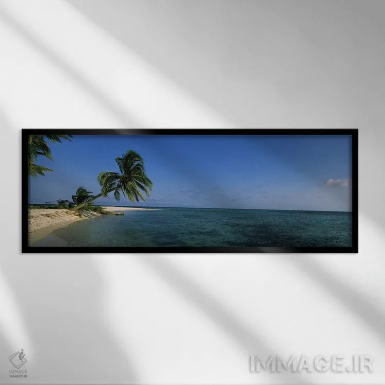 تابلو دکوراتیو Laughing Bird Caye, Stann Creek District, Belize,یک درخ… اثر پانورامیک ایمجز - نمای قابدار مشکی