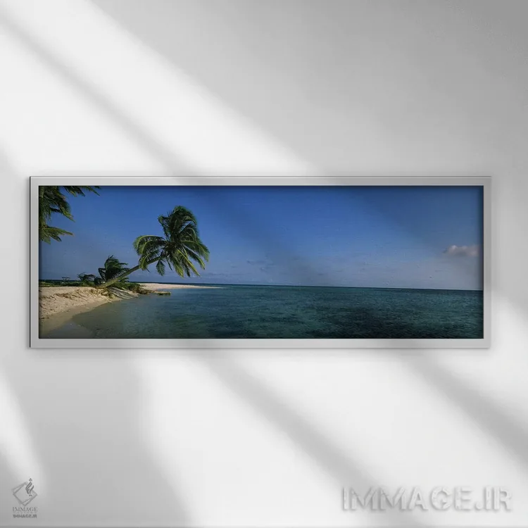 تابلو دکوراتیو Laughing Bird Caye, Stann Creek District, Belize,یک درخ… اثر پانورامیک ایمجز - نمای قابدار سفید