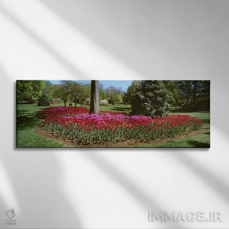 تابلو دکوراتیو Sherwood Gardens, Baltimore, Maryland, USA,گل های آزالی… اثر پانورامیک ایمجز - نمای روبهرو روی دیوار