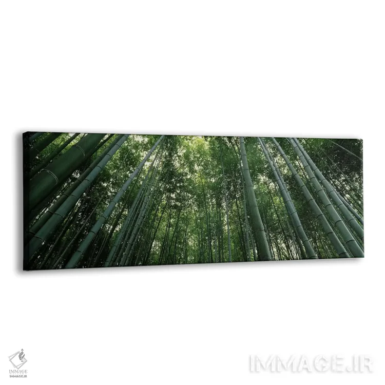 تابلو دکوراتیو Arashiyama, Kyoto Prefecture, Kinki Region, Honshu, Jap… اثر پانورامیک ایمجز - نمای پرسپکتیو محصول