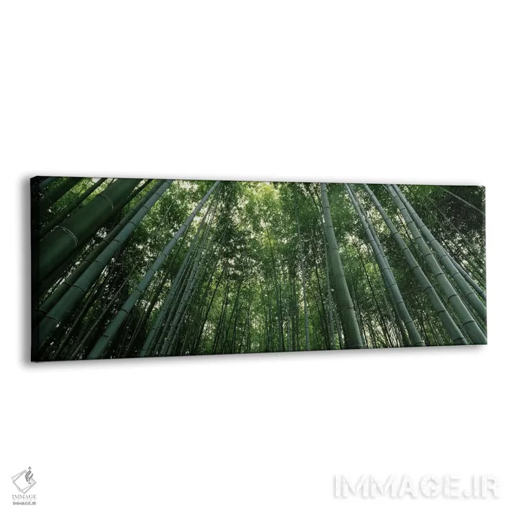 تابلو دکوراتیو Arashiyama, Kyoto Prefecture, Kinki Region, Honshu, Jap… اثر پانورامیک ایمجز - نمای پرسپکتیو محصول