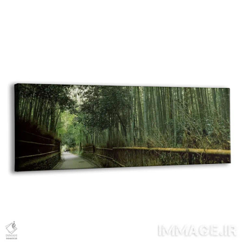 تابلو دکوراتیو Arashiyama, Kyoto Prefecture, Kinki Region, Honshu, Jap… اثر پانورامیک ایمجز - نمای پرسپکتیو محصول