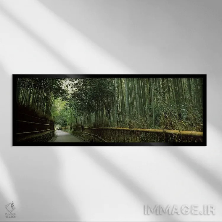 تابلو دکوراتیو Arashiyama, Kyoto Prefecture, Kinki Region, Honshu, Jap… اثر پانورامیک ایمجز - نمای قابدار مشکی
