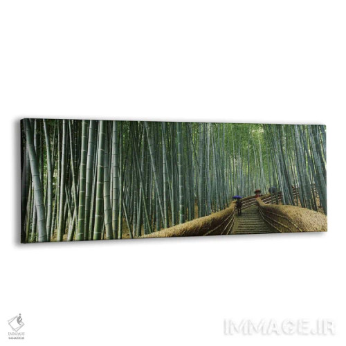 تابلو دکوراتیو Arashiyama, Kyoto Prefecture, Kinki Region, Honshu, Jap… اثر پانورامیک ایمجز - نمای پرسپکتیو محصول