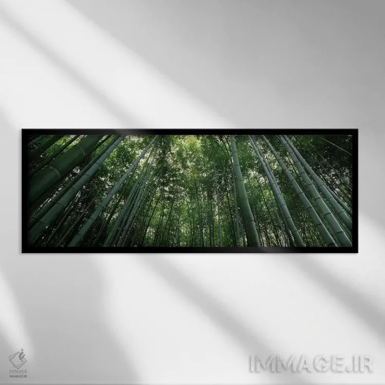 تابلو دکوراتیو Arashiyama, Kyoto Prefecture, Kinki Region, Honshu, Jap… اثر پانورامیک ایمجز - نمای قابدار مشکی