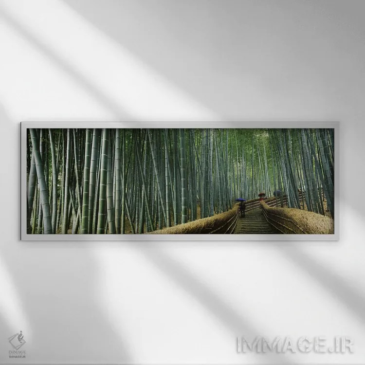 تابلو دکوراتیو Arashiyama, Kyoto Prefecture, Kinki Region, Honshu, Jap… اثر پانورامیک ایمجز - نمای قابدار سفید