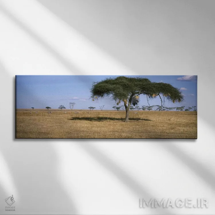تابلو دکوراتیو Serengeti National Park, Tanzania,منظره دشت های آفریقا… اثر پانورامیک ایمجز - نمای روبهرو روی دیوار