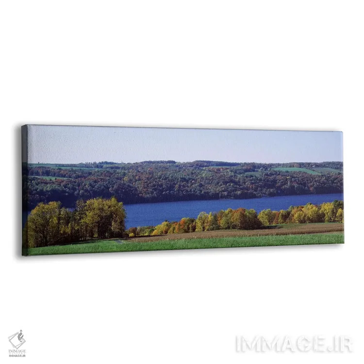 تابلو دکوراتیو Owasco Lake, Finger Lakes, New York State, USA,درختان ک… اثر پانورامیک ایمجز - نمای پرسپکتیو محصول