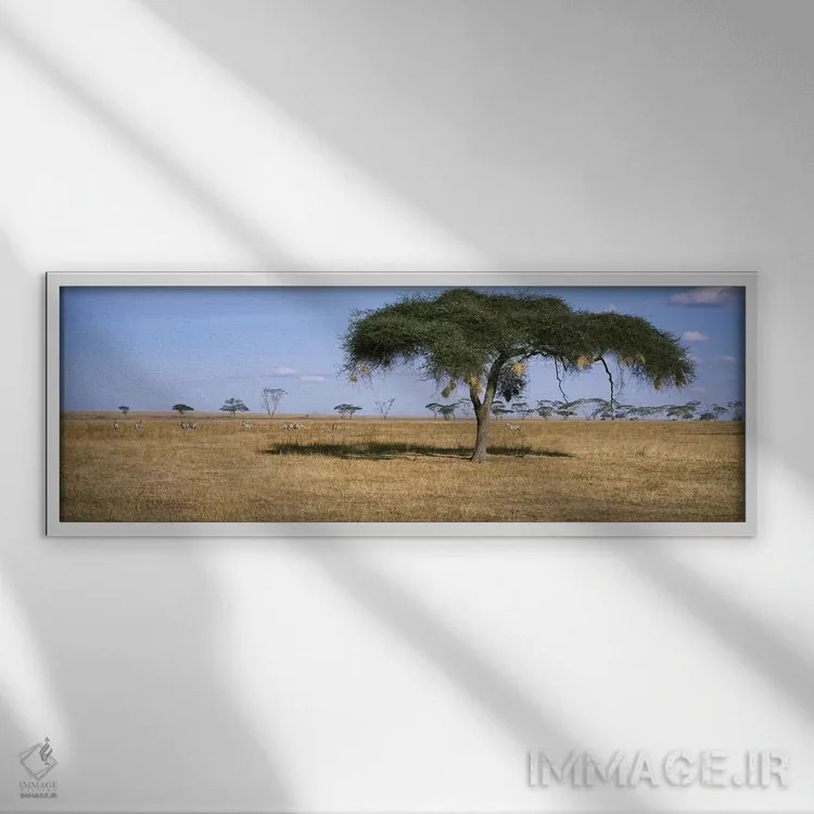 تابلو دکوراتیو Serengeti National Park, Tanzania,منظره دشت های آفریقا… اثر پانورامیک ایمجز - نمای قابدار سفید