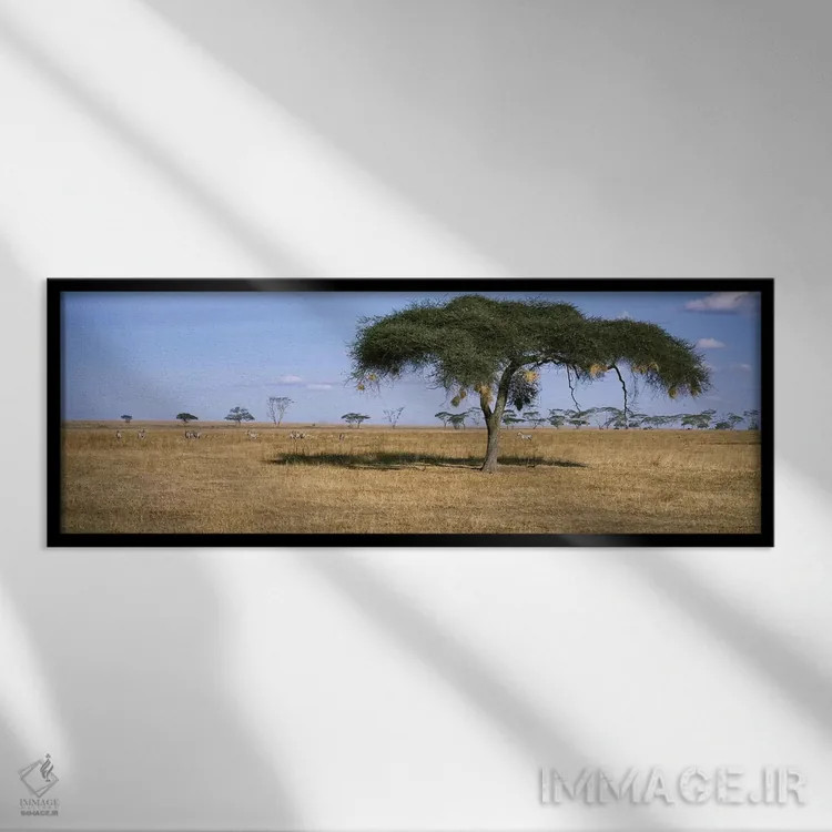تابلو دکوراتیو Serengeti National Park, Tanzania,منظره دشت های آفریقا… اثر پانورامیک ایمجز - نمای قابدار مشکی