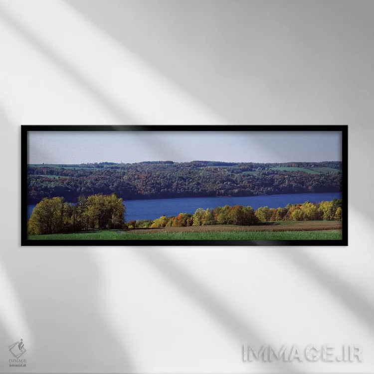 تابلو دکوراتیو Owasco Lake, Finger Lakes, New York State, USA,درختان ک… اثر پانورامیک ایمجز - نمای قابدار مشکی