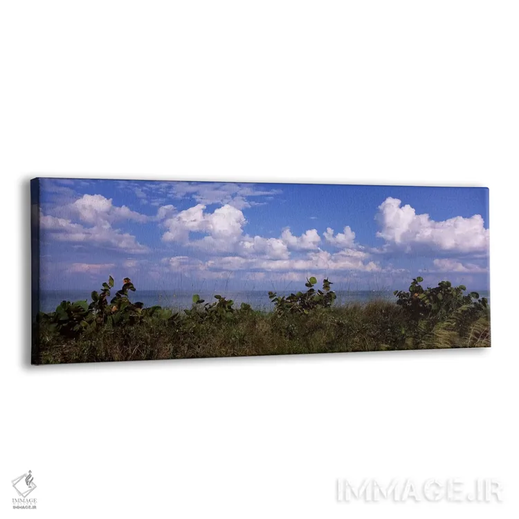 تابلو دکوراتیو Tampa Bay, Gulf Of Mexico, Anna Maria Island, Manatee C… اثر پانورامیک ایمجز - نمای پرسپکتیو محصول