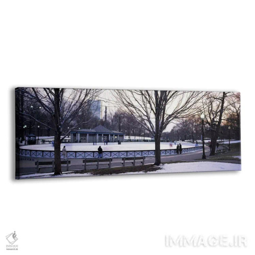 تابلو دکوراتیو Frog Pond Skating Rink, Boston Common, Boston, Suffolk… اثر پانورامیک ایمجز - نمای پرسپکتیو محصول