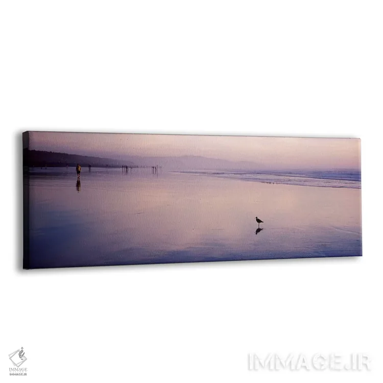 تابلو دکوراتیو San Francisco, California, USA,پرنده سندپایپر در ساحل… اثر پانورامیک ایمجز - نمای پرسپکتیو محصول