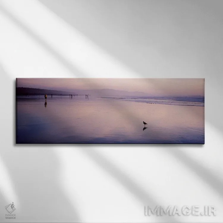 تابلو دکوراتیو San Francisco, California, USA,پرنده سندپایپر در ساحل… اثر پانورامیک ایمجز - نمای روبهرو روی دیوار