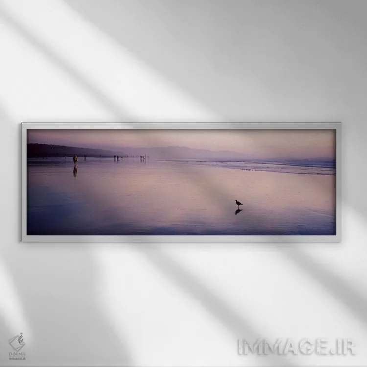 تابلو دکوراتیو San Francisco, California, USA,پرنده سندپایپر در ساحل… اثر پانورامیک ایمجز - نمای قابدار سفید