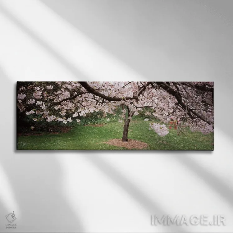 تابلو دکوراتیو Golden Gate Park, San Francisco, California, USA,درخت ش… اثر پانورامیک ایمجز - نمای روبهرو روی دیوار