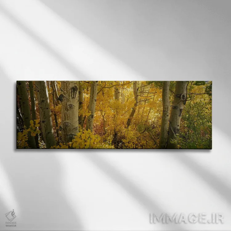 تابلو دکوراتیو Californian Sierra Nevada, California, USA,درختان صنوبر… اثر پانورامیک ایمجز - نمای روبهرو روی دیوار