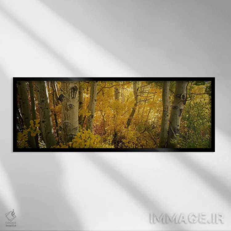 تابلو دکوراتیو Californian Sierra Nevada, California, USA,درختان صنوبر… اثر پانورامیک ایمجز - نمای قابدار مشکی