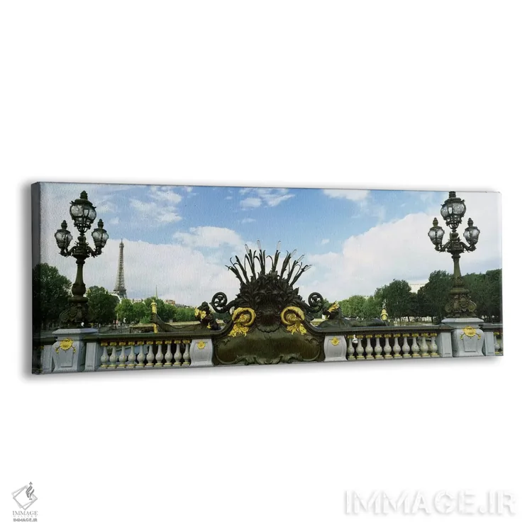 تابلو دکوراتیو Pont Alexandre III, Eiffel Tower, Paris, Ile-de-France… اثر پانورامیک ایمجز - نمای پرسپکتیو محصول