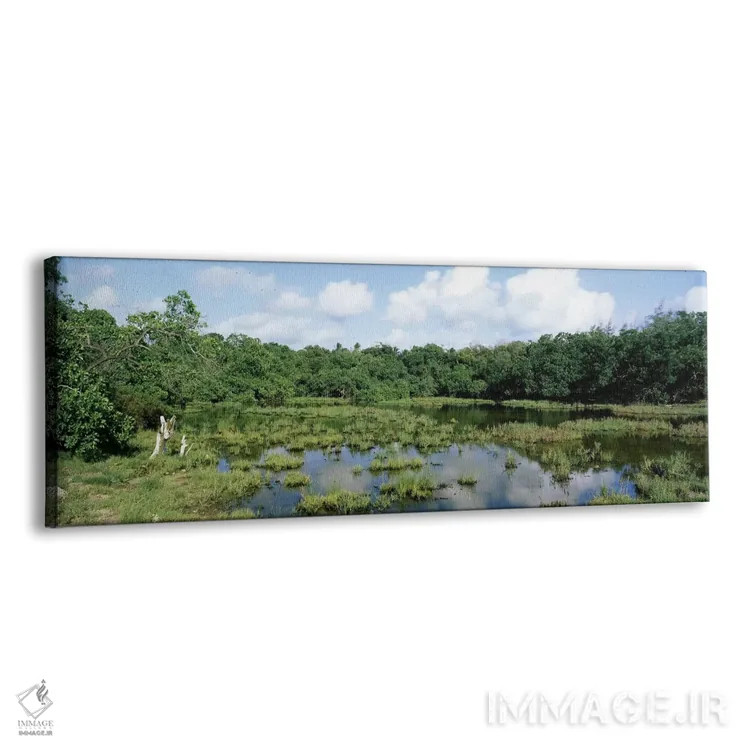 تابلو دکوراتیو Watamu Marine National Park, Watamu, Coast Province, Ke… اثر پانورامیک ایمجز - نمای پرسپکتیو محصول