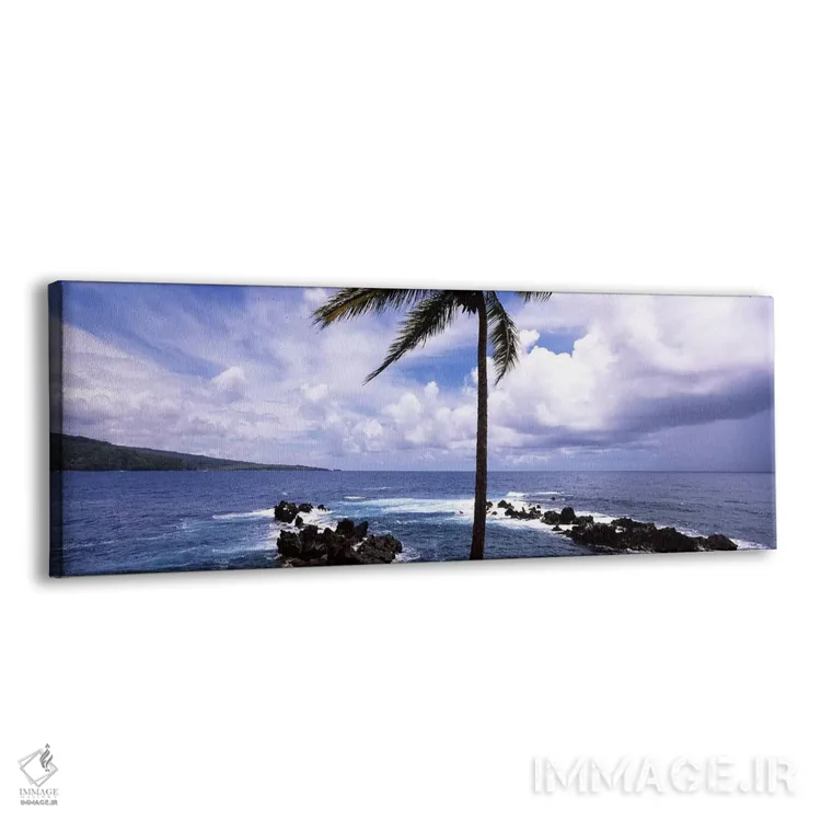 تابلو دکوراتیو Honolulu Nui Bay, Nahiku, Maui, Hawaii, USA,درخت نخل در… اثر پانورامیک ایمجز - نمای پرسپکتیو محصول