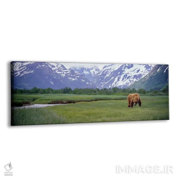 تابلو دکوراتیو Kukak Bay, Katmai National Park, Alaska, USA,خرس گریزلی… اثر پانورامیک ایمجز - نمای پرسپکتیو محصول