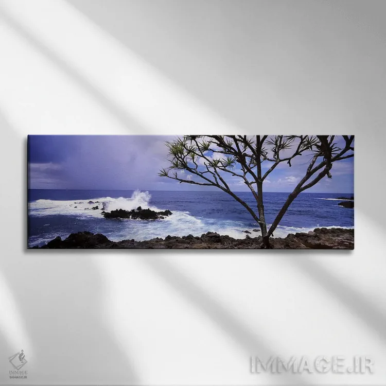 تابلو دکوراتیو Honolulu Nui Bay, Nahiku, Maui, Hawaii, USA,درخت در ساح… اثر پانورامیک ایمجز - نمای روبهرو روی دیوار