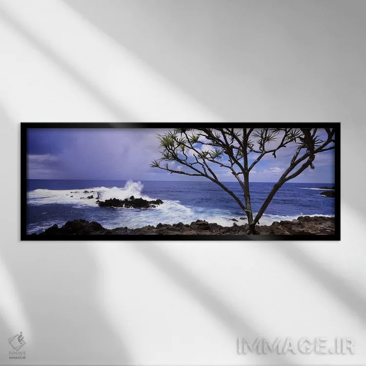 تابلو دکوراتیو Honolulu Nui Bay, Nahiku, Maui, Hawaii, USA,درخت در ساح… اثر پانورامیک ایمجز - نمای قابدار مشکی