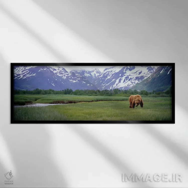 تابلو دکوراتیو Kukak Bay, Katmai National Park, Alaska, USA,خرس گریزلی… اثر پانورامیک ایمجز - نمای قابدار مشکی