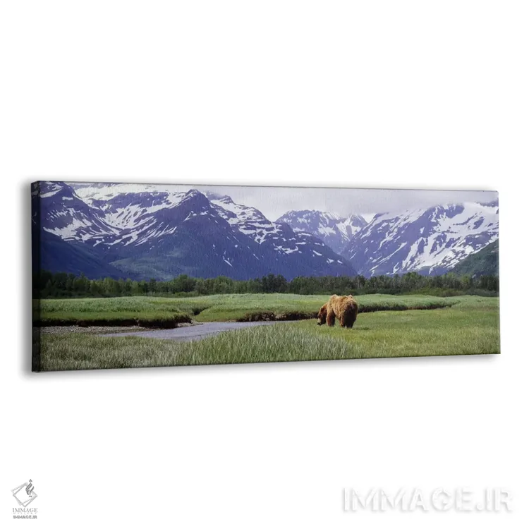 تابلو دکوراتیو Kukak Bay, Katmai National Park, Alaska, USA #2,خرس گری… اثر پانورامیک ایمجز - نمای پرسپکتیو محصول