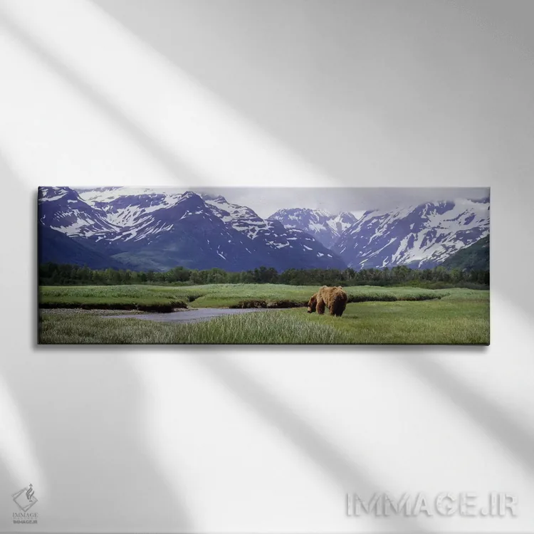 تابلو دکوراتیو Kukak Bay, Katmai National Park, Alaska, USA #2,خرس گری… اثر پانورامیک ایمجز - نمای روبهرو روی دیوار