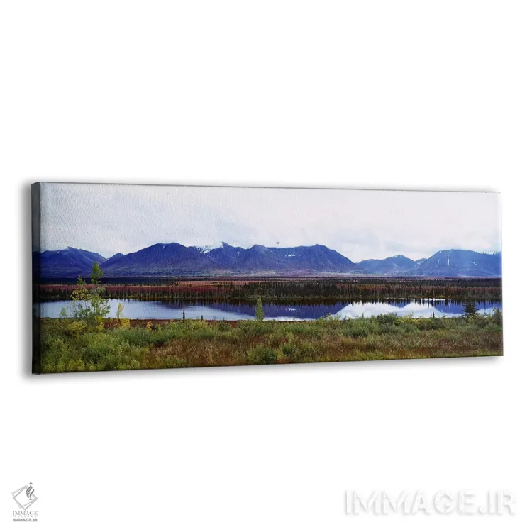 تابلو دکوراتیو Mt McKinley, Denali National Park, Anchorage, Alaska, U… اثر پانورامیک ایمجز - نمای پرسپکتیو محصول