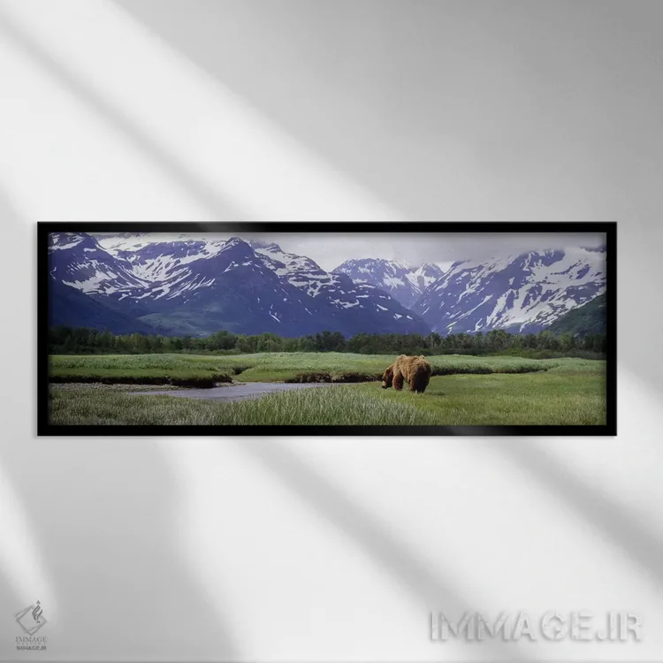 تابلو دکوراتیو Kukak Bay, Katmai National Park, Alaska, USA #2,خرس گری… اثر پانورامیک ایمجز - نمای قابدار مشکی