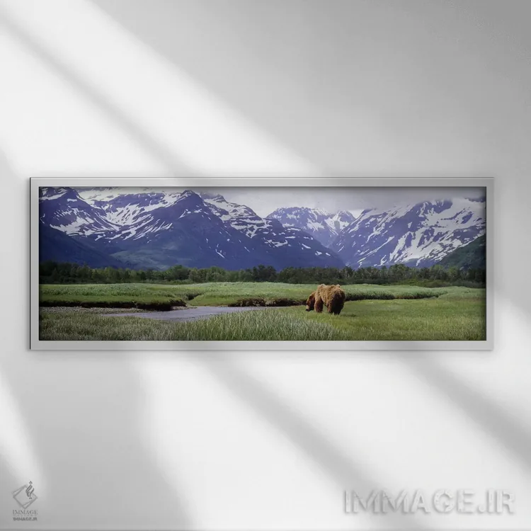 تابلو دکوراتیو Kukak Bay, Katmai National Park, Alaska, USA #2,خرس گری… اثر پانورامیک ایمجز - نمای قابدار سفید
