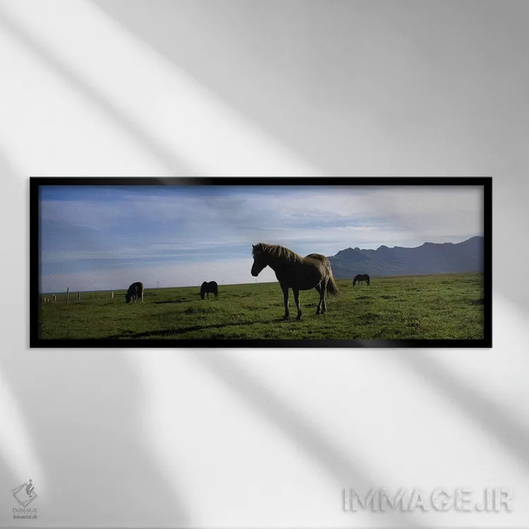 تابلو دکوراتیو Svinafell, Iceland,اسب های ایسلندی در دشتی از اسوینافل… اثر پانورامیک ایمجز - نمای قابدار مشکی