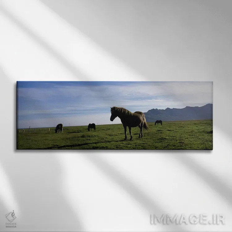 تابلو دکوراتیو Svinafell, Iceland,اسب های ایسلندی در دشتی از اسوینافل… اثر پانورامیک ایمجز - نمای روبهرو روی دیوار